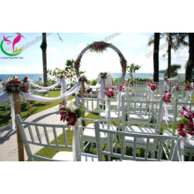 Hot Sales Presidente Chiavari para Casamento (YC-A86)